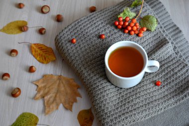 Bir fincan çay bir yün battaniye üzerinde. Sonbahar ya da kış içki ısınma. Sonbahar konsepti