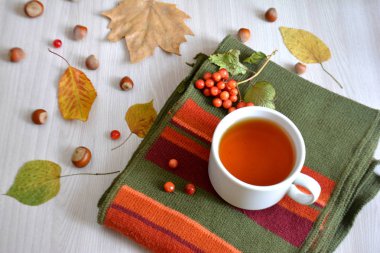 Bir fincan çay bir yün battaniye üzerinde. Sonbahar ya da kış içki ısınma. Sonbahar konsepti