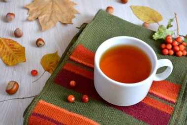 Bir fincan çay bir yün battaniye üzerinde. Sonbahar ya da kış içki ısınma. Sonbahar konsepti