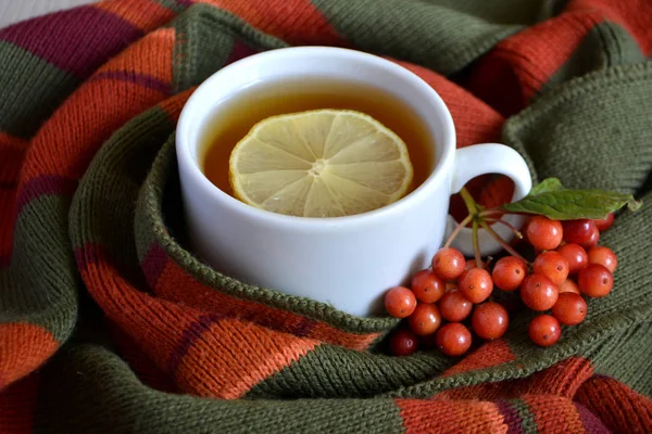 Eine Tasse Heißen Tee Auf Einer Wolldecke Erwärmendes Getränk Herbst — Stockfoto