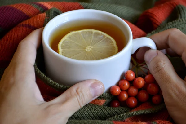 Cup Hot Tea Hand Wool Blanket Autumn Winter Warming Drink — Stock Photo, Image