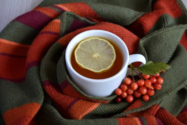 一杯热茶在羊毛毯子上 秋天或冬天变暖饮料 秋季理念 — 图库照片