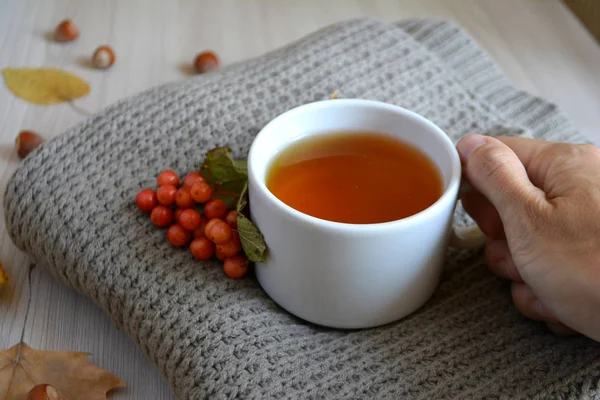 Eine Tasse Heißen Tee Der Hand Auf Einer Wolldecke Erwärmendes — Stockfoto