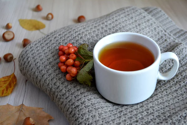 Чашка Горячего Чая Шерстяном Одеяле Осень Зимнее Потепление Осенняя Концепция — стоковое фото