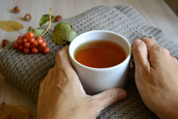 Eine Tasse Heißen Tee Der Hand Auf Einer Wolldecke Erwärmendes — Stockfoto