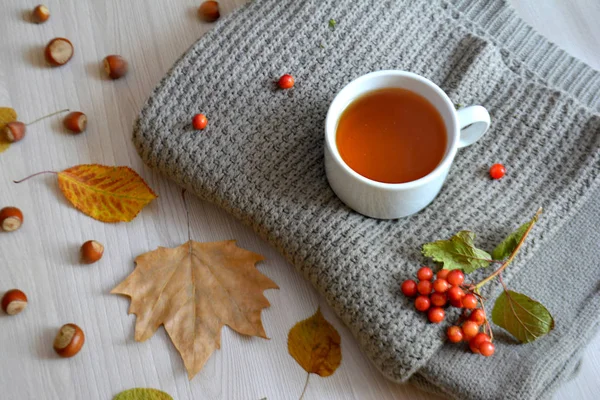 Eine Tasse Heißen Tee Auf Einer Wolldecke Erwärmendes Getränk Herbst — Stockfoto