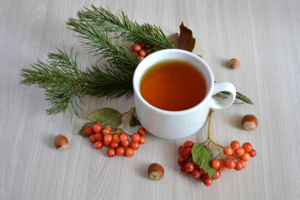 Eine Tasse Heißen Tee Beere Tannenzweig Auf Dem Tisch Erwärmendes — Stockfoto