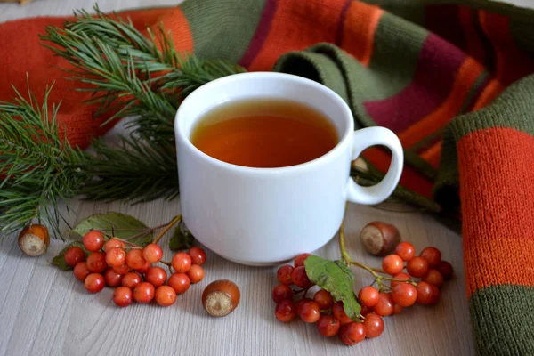 Cup Hot Tea Berry Fir Branch Table Autumn Winter Warming — Stock Photo, Image