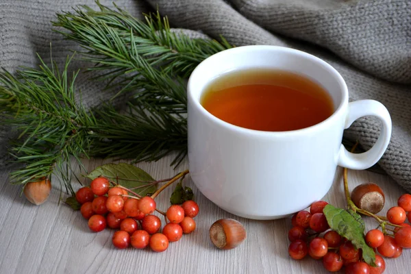 Cup Hot Tea Berry Fir Branch Table Autumn Winter Warming — Stock Photo, Image