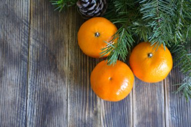 köknar ağacı dalları koniler ve mandalina yeni yıl ve Noel arka plan ile