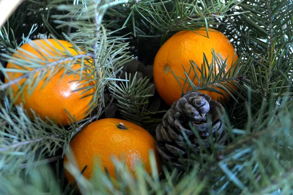 Spar Boomtakken Kegels Mandarijnen Voor Nieuwjaar Kerstmis Achtergrond Wenskaart — Stockfoto