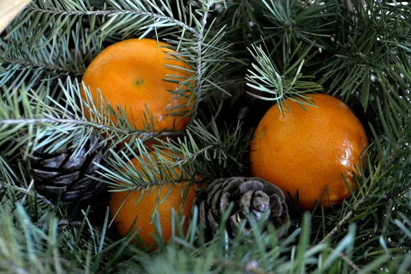 Tannenzweige Zapfen Und Mandarinen Für Neujahr Und Weihnachten Hintergrund Und — Stockfoto