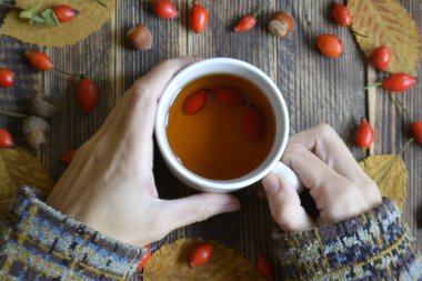 Rose hips ile sonbahar kompozisyon elinde bir fincan çay yaprakları. Bir fincan çay rose hips ile. Sonbahar sıcak içecek