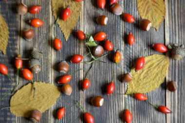 Kuşburnu ile sonbahar arka plan fındık bırakır 