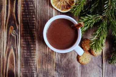 Sıcak çikolata veya kakao bir fincan ve köknar dallarında tarçın çubuğu ile. Kış soğuk hava için sıcak bir içecek. Yeni yıl ve Noel kavramı kopya alanı