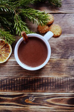 Sıcak çikolata veya kakao bir fincan ve köknar dallarında tarçın çubuğu ile. Kış soğuk hava için sıcak bir içecek. Yeni yıl ve Noel kavramı kopya alanı
