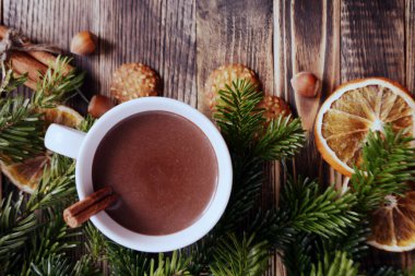 Sıcak çikolata veya kakao bir fincan ve köknar dallarında tarçın çubuğu ile. Kış soğuk hava için sıcak bir içecek. Yeni yıl ve Noel kavramı kopya alanı