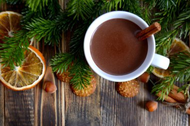 Sıcak çikolata veya kakao bir fincan ve köknar dallarında tarçın çubuğu ile. Kış soğuk hava için sıcak bir içecek. Yeni yıl ve Noel kavramı kopya alanı