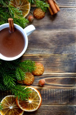 Sıcak çikolata veya kakao bir fincan ve köknar dallarında tarçın çubuğu ile. Kış soğuk hava için sıcak bir içecek. Yeni yıl ve Noel kavramı kopya alanı