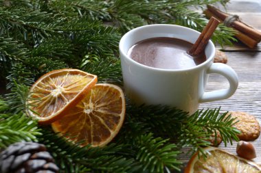 Sıcak çikolata veya kakao bir fincan ve köknar dallarında tarçın çubuğu ile. Kış soğuk hava için sıcak bir içecek. Yeni yıl ve Noel kavramı