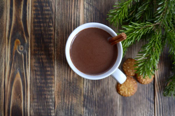Heiße Schokolade Oder Kakao Mit Zimtstange Einer Tasse Und Tannenzweigen — Stockfoto