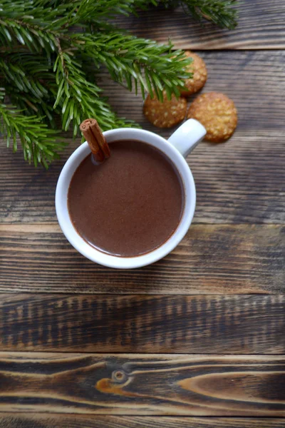 Sıcak çikolata veya kakao bir fincan ve köknar dallarında tarçın çubuğu ile. Kış soğuk hava için sıcak bir içecek. Yeni yıl ve Noel kavramı kopya alanı