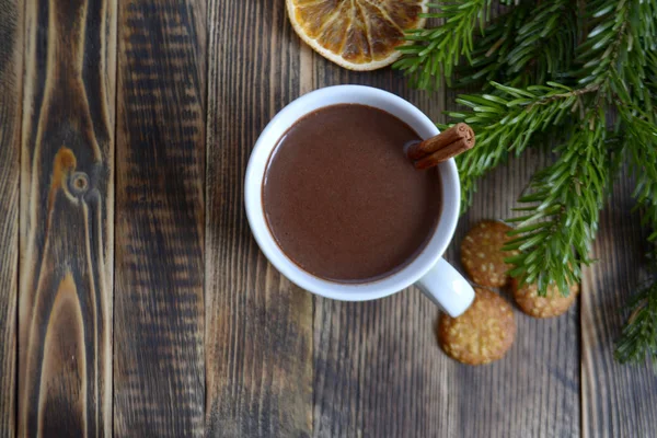 Sıcak çikolata veya kakao bir fincan ve köknar dallarında tarçın çubuğu ile. Kış soğuk hava için sıcak bir içecek. Yeni yıl ve Noel kavramı kopya alanı