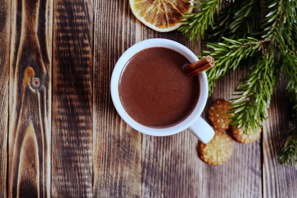 Sıcak çikolata veya kakao bir fincan ve köknar dallarında tarçın çubuğu ile. Kış soğuk hava için sıcak bir içecek. Yeni yıl ve Noel kavramı kopya alanı