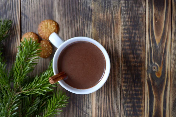 Sıcak çikolata veya kakao bir fincan ve köknar dallarında tarçın çubuğu ile. Kış soğuk hava için sıcak bir içecek. Yeni yıl ve Noel kavramı kopya alanı