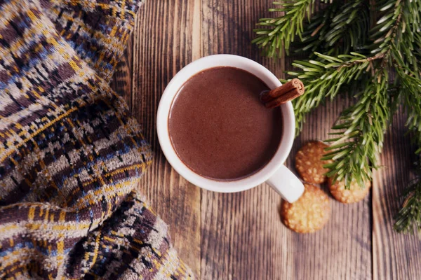 Sıcak çikolata veya kakao bir fincan ve köknar dallarında tarçın çubuğu ile. Kış soğuk hava için sıcak bir içecek. Yeni yıl ve Noel kavramı üstten görünüm
