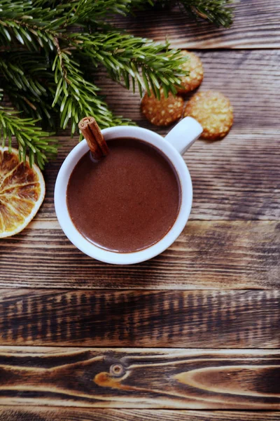 Sıcak çikolata veya kakao bir fincan ve köknar dallarında tarçın çubuğu ile. Kış soğuk hava için sıcak bir içecek. Yeni yıl ve Noel kavramı kopya alanı