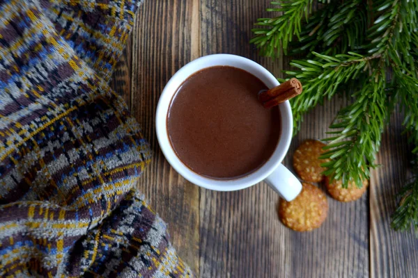 Sıcak çikolata veya kakao bir fincan ve köknar dallarında tarçın çubuğu ile. Kış soğuk hava için sıcak bir içecek. Yeni yıl ve Noel kavramı üstten görünüm