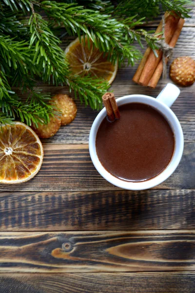 Sıcak çikolata veya kakao bir fincan ve köknar dallarında tarçın çubuğu ile. Kış soğuk hava için sıcak bir içecek. Yeni yıl ve Noel kavramı kopya alanı