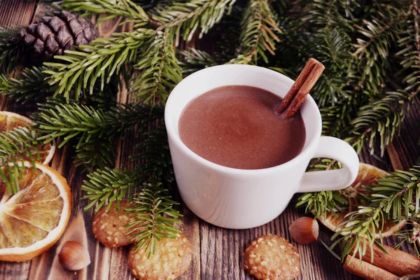 Sıcak çikolata veya kakao bir fincan ve köknar dallarında tarçın çubuğu ile. Kış soğuk hava için sıcak bir içecek. Yeni yıl ve Noel kavramı