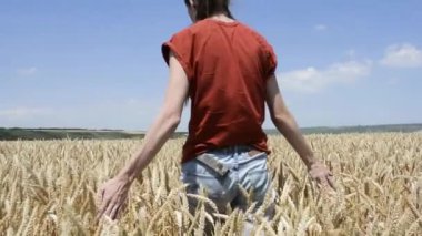 kız bir buğday alanda yürüyüş