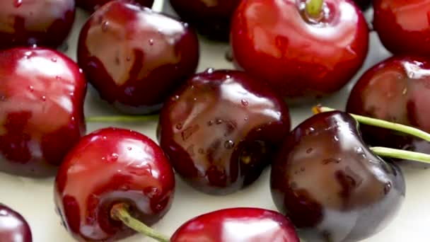 Cherries Plate — Stock Video