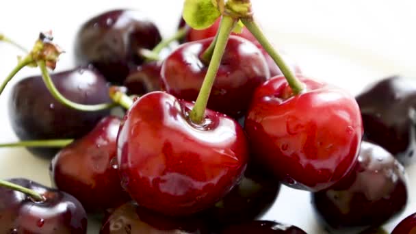 Cherries Plate — Stock Video