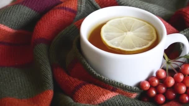 Τσάι Λεμόνι Ένα Φλιτζάνι Κασκόλ Πίνακα Καυτό Φθινόπωρο Και Χειμώνα — Αρχείο Βίντεο