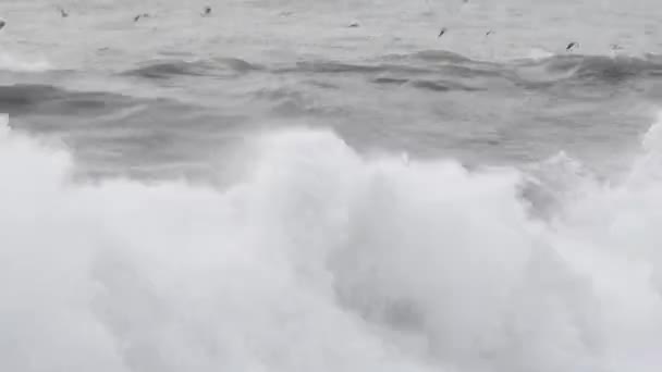 Καταιγίδα Στη Θάλασσα Θύελλα Καιρός — Αρχείο Βίντεο