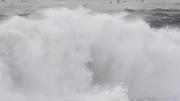 Storm Havuvær – stockvideo