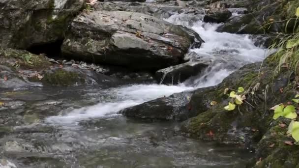 Rivière Dans Les Montagnes — Video