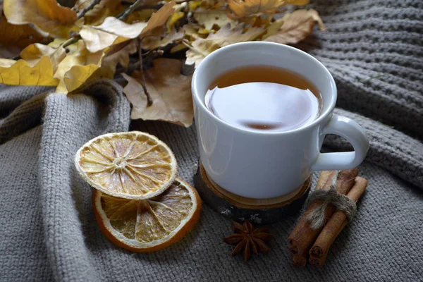 Cup Lemon Tea Dried Oranges Cinnamon Autumn Concept Cozy Home — Stock Photo, Image