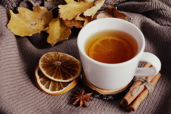 Filiżanka Herbaty Cytryną Suszone Pomarańcze Cynamon Jesień Koncepcja Przytulnym Domu — Zdjęcie stockowe