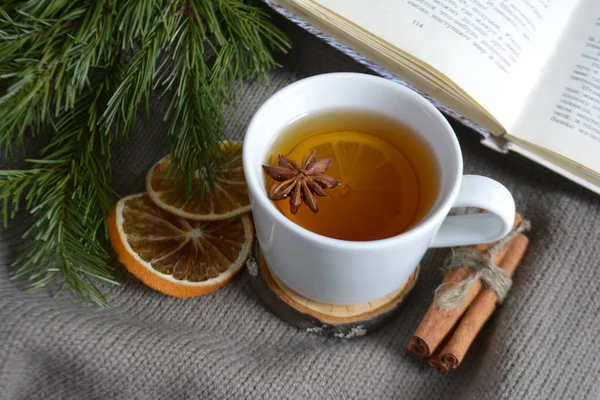 Cup Lemon Tea Dried Oranges Cinnamon Book Fir Branch Winter — Stock Photo, Image