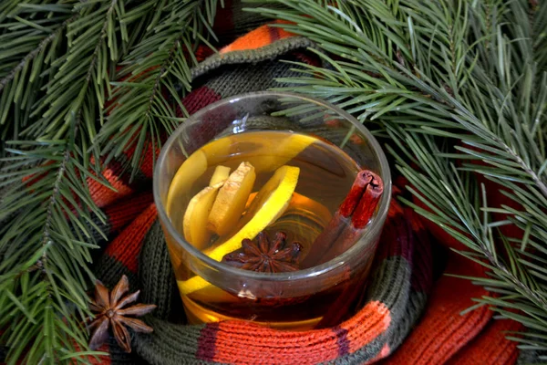 뜨거운 휴가의 크리스마스가을 음료에 향신료와 생강차 — 스톡 사진