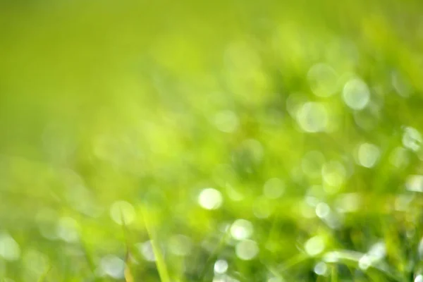 自然の緑背景をぼかした写真緑の芝生こんにちは春を抽象化または夏のコンセプト — ストック写真
