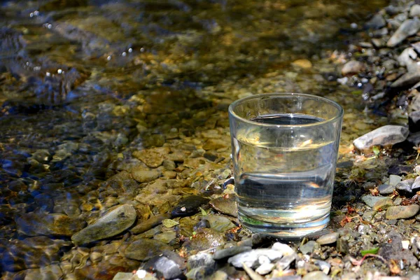 Copo Água Limpa Margem Rio — Fotografia de Stock