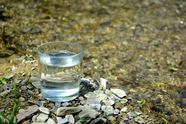 Copo Água Limpa Margem Rio — Fotografia de Stock