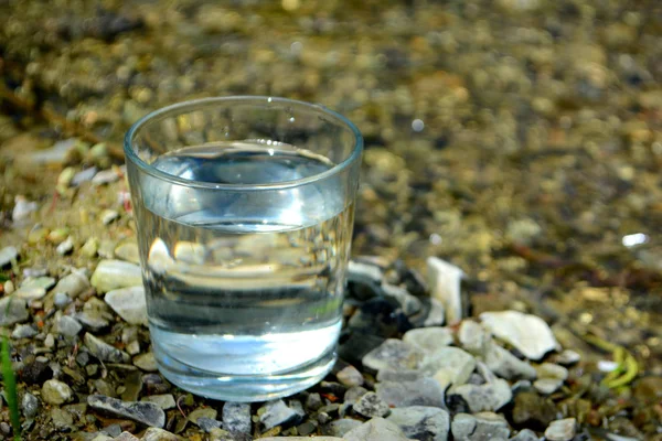 Copo Água Limpa Margem Rio — Fotografia de Stock