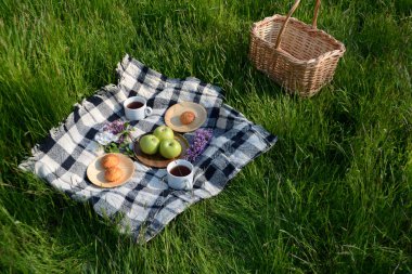 Park'ta yeşil çimenlerde meyve, kekler, çayla piknik. Piknik sepeti ve battaniye. Yaz tatili. Üstte görüntü